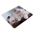 Коврик для мыши Perfeo Cat рис.2, 350x300x3 мм - фото 51487931 Коврик для мыши Perfeo Cat рис.2, 350x300x3 мм - фото 51487931
