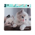 Коврик для мыши Perfeo Cat рис.2, 350x300x3 мм - фото 51487933 Коврик для мыши Perfeo Cat рис.2, 350x300x3 мм - фото 51487933