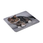 Коврик для мыши Perfeo Cat рис.20, 240x200x2 мм - фото 51487936 Коврик для мыши Perfeo Cat рис.20, 240x200x2 мм - фото 51487936