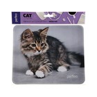 Коврик для мыши Perfeo Cat рис.20, 240x200x2 мм - фото 51487938 Коврик для мыши Perfeo Cat рис.20, 240x200x2 мм - фото 51487938