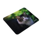 Коврик для мыши Perfeo Cat рис.24, 180x220x2 мм - фото 51487950 Коврик для мыши Perfeo Cat рис.24, 180x220x2 мм - фото 51487950