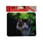 Коврик для мыши Perfeo Cat рис.24, 180x220x2 мм - фото 51487952 Коврик для мыши Perfeo Cat рис.24, 180x220x2 мм - фото 51487952