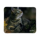 Коврик для мыши Perfeo Cat рис.27, 180x220x2 мм 10111562 - фото 11559555