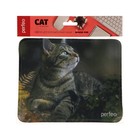 Коврик для мыши Perfeo Cat рис.27, 180x220x2 мм - фото 51487967 Коврик для мыши Perfeo Cat рис.27, 180x220x2 мм - фото 51487967