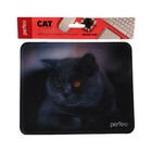 Коврик для мыши Perfeo Cat рис.28, 180x220x2 мм - фото 51488461 Коврик для мыши Perfeo Cat рис.28, 180x220x2 мм - фото 51488461