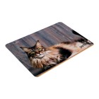 Коврик для мыши Perfeo Cat рис.5, 350x300x3 мм - фото 51488474 Коврик для мыши Perfeo Cat рис.5, 350x300x3 мм - фото 51488474