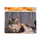 Коврик для мыши Perfeo Cat рис.5, 350x300x3 мм - фото 51488476 Коврик для мыши Perfeo Cat рис.5, 350x300x3 мм - фото 51488476