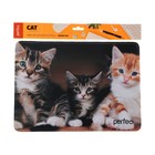 Коврик для мыши Perfeo Cat рис.6, 350x300x3 мм - фото 51488481 Коврик для мыши Perfeo Cat рис.6, 350x300x3 мм - фото 51488481