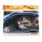 Коврик для мыши Perfeo Cat рис.7, 350x250x4 мм - фото 51488486 Коврик для мыши Perfeo Cat рис.7, 350x250x4 мм - фото 51488486