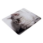Коврик для мыши Perfeo Cat рис.9, 350x300x3 мм - фото 51488494 Коврик для мыши Perfeo Cat рис.9, 350x300x3 мм - фото 51488494