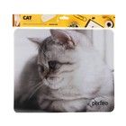 Коврик для мыши Perfeo Cat рис.9, 350x300x3 мм - фото 51488496 Коврик для мыши Perfeo Cat рис.9, 350x300x3 мм - фото 51488496