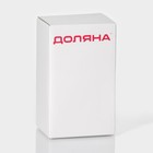 Бутылка для масла Доляна «Коралл», 600 мл, 8.5×7×18 см, с кисточкой, стекло, прозрачная - Фото 12