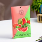 Аромасаше «Сочный Арбуз», 10 г, «Богатство Аромата» - Фото 1