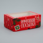 Коробка складная на 6 капкейков с окном «Новогодняя посылка», 25 х 17 х 10 см - фото 301042779