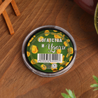 Благовония спиральные «Богатства и удачи», пачули - Фото 2