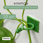 Крепления для вьющихся растений, d = 15 мм, Greengo - фото 19962489