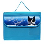 Папка для труда А4, с ручками текстиль раскладная на липучке, "Котик в снегу", ПТР-10 - фото 23214464