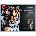 Скретчинг, гравюра — 30 × 40 см «Животные. Мудрый тигр» - фото 109351271