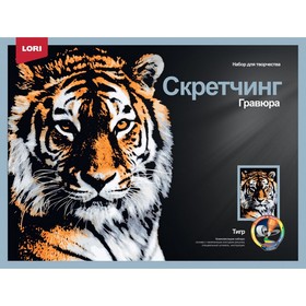 Скретчинг, гравюра — 30 × 40 см «Животные. Мудрый тигр»
