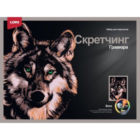 Скретчинг, гравюра — 30 × 40 см «Животные. Красивый волк»
