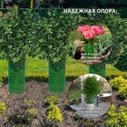Защита стволов деревьев, кустарников и цветов, 21 × 35 см, набор 12 шт., зелёный