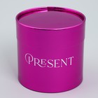 Набор коробок 2 в 1 круглые, упаковка подарочная, «Present», розовый металлик, 12 х 12, 15 х 15 см - Фото 7