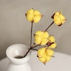Декор сухоцвет "Хлопок" d-5 см, 30 см, желтый набор 5 шт - фото 11529298