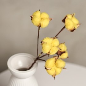 Декор сухоцвет 'Хлопок' d-5 см, 30 см, желтый набор 5 шт