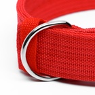 Ошейник четырехслойный, 64×4 см, ОШ 50-58 см, полиэстер, красный - Фото 5