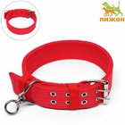 Ошейник четырехслойный с вертлюгом, 65×4 см, ОШ 54-60 см, полиэстер, красный - Фото 2