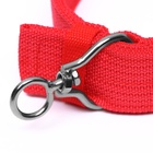 Ошейник четырехслойный с вертлюгом, 65×4 см, ОШ 54-60 см, полиэстер, красный - Фото 5