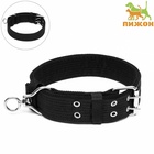 Ошейник четырехслойный, 65×4 см, ОШ 54-60 с, с вертлюгом, полиэстер, чёрный - Фото 2