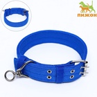 Ошейник четырехслойный, 65×4 см, ОШ 54-60 см, с вертлюгом, полиэстер, синий - Фото 2