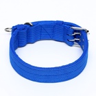 Ошейник четырехслойный, 65×4 см, ОШ 54-60 см, с вертлюгом, полиэстер, синий - Фото 3
