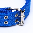 Ошейник четырехслойный, 65×4 см, ОШ 54-60 см, с вертлюгом, полиэстер, синий - Фото 4