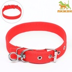 Ошейник двухслойный с вертлюгом, 58×3 см, полиэстер, красный - Фото 2