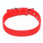 Ошейник двухслойный с вертлюгом, 58×3 см, полиэстер, красный - Фото 3