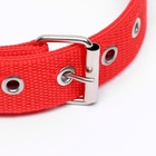 Ошейник двухслойный с вертлюгом, 58×3 см, полиэстер, красный - Фото 4