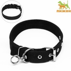 Ошейник двухслойный с вертлюгом, 58×3 см, полиэстер, черный - Фото 2