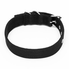 Ошейник двухслойный с вертлюгом, 58×3 см, полиэстер, черный - Фото 3