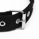 Ошейник двухслойный с вертлюгом, 58×3 см, полиэстер, черный - Фото 4