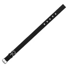 Ошейник двухслойный с вертлюгом, 58×3 см, полиэстер, черный - Фото 6