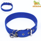 Ошейник двухслойный с вертлюгом, 58 х 3 см, полиэстер, синий - Фото 2
