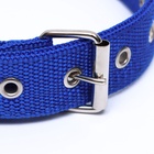 Ошейник двухслойный с вертлюгом, 58 х 3 см, полиэстер, синий - Фото 4