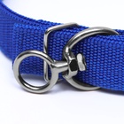 Ошейник двухслойный с вертлюгом, 58 х 3 см, полиэстер, синий - Фото 5