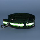 Ошейник четырехслойный светоотражающий с вертлюгом, 71 х 5 см, ОШ 55-65 см, зелёный - Фото 10