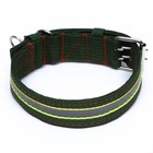 Ошейник четырехслойный светоотражающий с вертлюгом, 65×4 см, зелёный - Фото 2