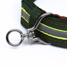 Ошейник четырехслойный светоотражающий с вертлюгом, 65×4 см, зелёный - Фото 4