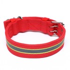 Ошейник четырехслойный светоотражающий с вертлюгом, 65×4 см, красный - Фото 2