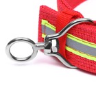 Ошейник четырехслойный светоотражающий с вертлюгом, 65×4 см, красный - Фото 4